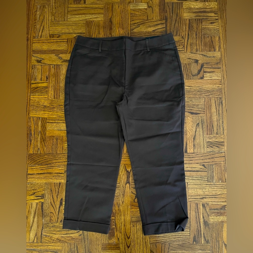 Chico’s So Slimming Brown Crop Pants 2.5 14 NWT